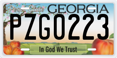 GA license plate PZG0223