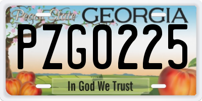 GA license plate PZG0225