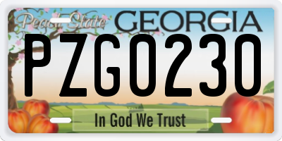 GA license plate PZG0230