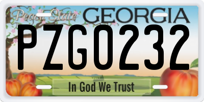 GA license plate PZG0232