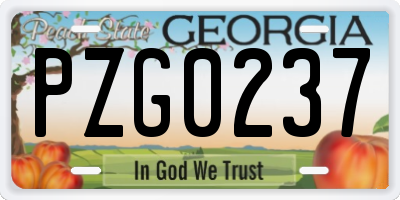 GA license plate PZG0237