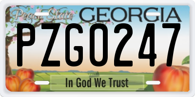 GA license plate PZG0247