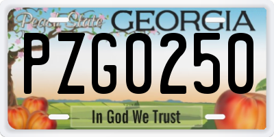 GA license plate PZG0250