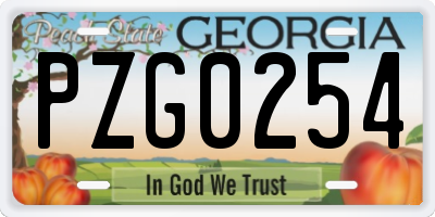 GA license plate PZG0254