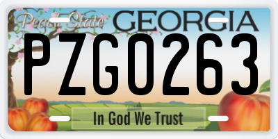 GA license plate PZG0263
