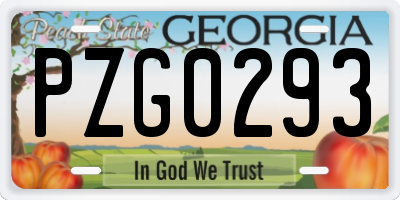 GA license plate PZG0293
