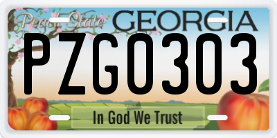 GA license plate PZG0303
