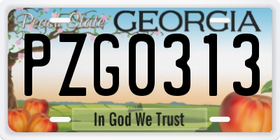GA license plate PZG0313