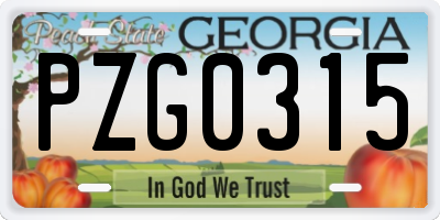 GA license plate PZG0315