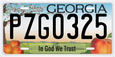 GA license plate PZG0325