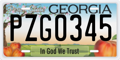 GA license plate PZG0345