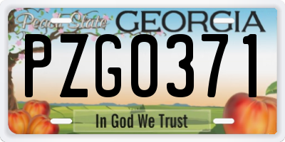GA license plate PZG0371