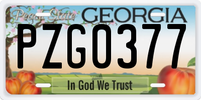 GA license plate PZG0377