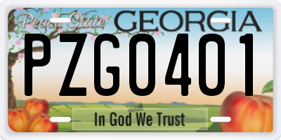 GA license plate PZG0401