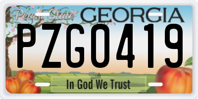 GA license plate PZG0419