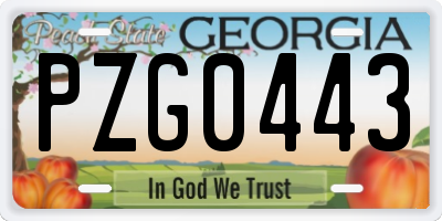 GA license plate PZG0443