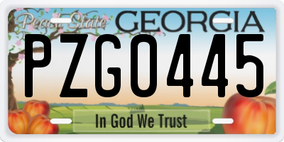 GA license plate PZG0445