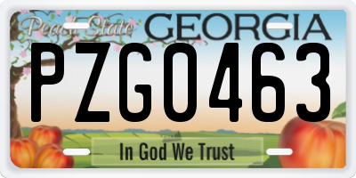 GA license plate PZG0463