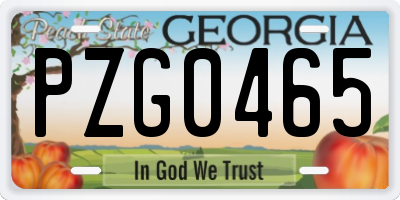 GA license plate PZG0465