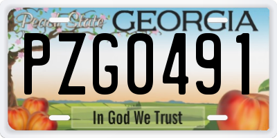 GA license plate PZG0491