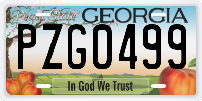 GA license plate PZG0499
