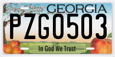 GA license plate PZG0503