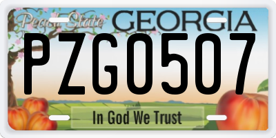GA license plate PZG0507