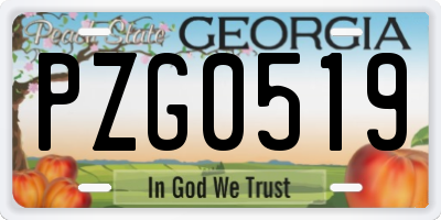 GA license plate PZG0519