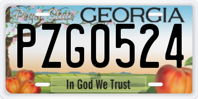GA license plate PZG0524