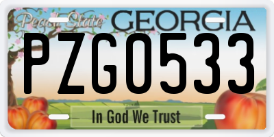 GA license plate PZG0533