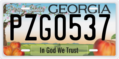 GA license plate PZG0537
