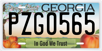 GA license plate PZG0565
