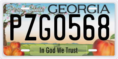 GA license plate PZG0568
