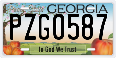 GA license plate PZG0587