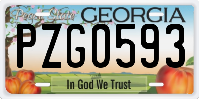 GA license plate PZG0593