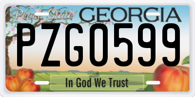 GA license plate PZG0599