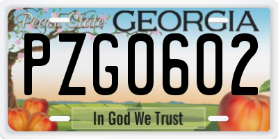 GA license plate PZG0602
