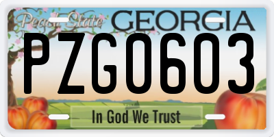 GA license plate PZG0603