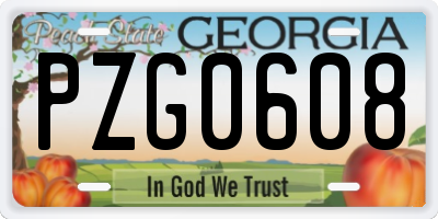 GA license plate PZG0608
