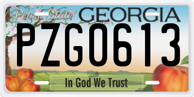 GA license plate PZG0613