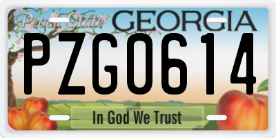 GA license plate PZG0614