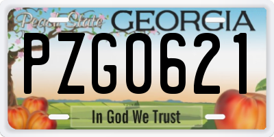 GA license plate PZG0621