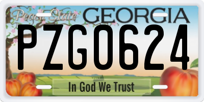 GA license plate PZG0624
