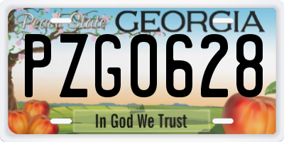 GA license plate PZG0628