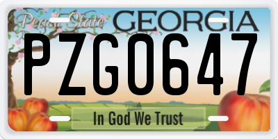 GA license plate PZG0647