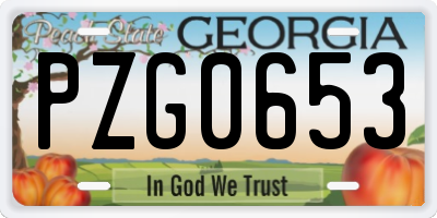 GA license plate PZG0653