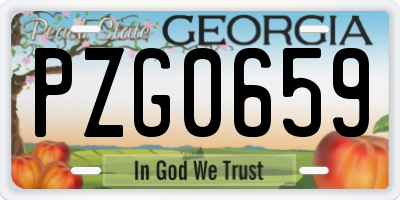 GA license plate PZG0659