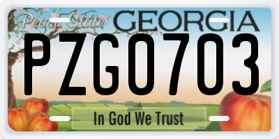 GA license plate PZG0703