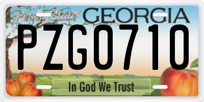 GA license plate PZG0710