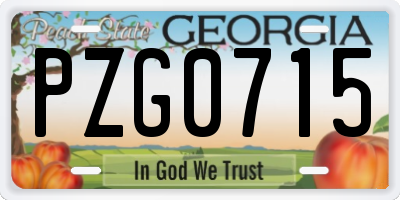 GA license plate PZG0715